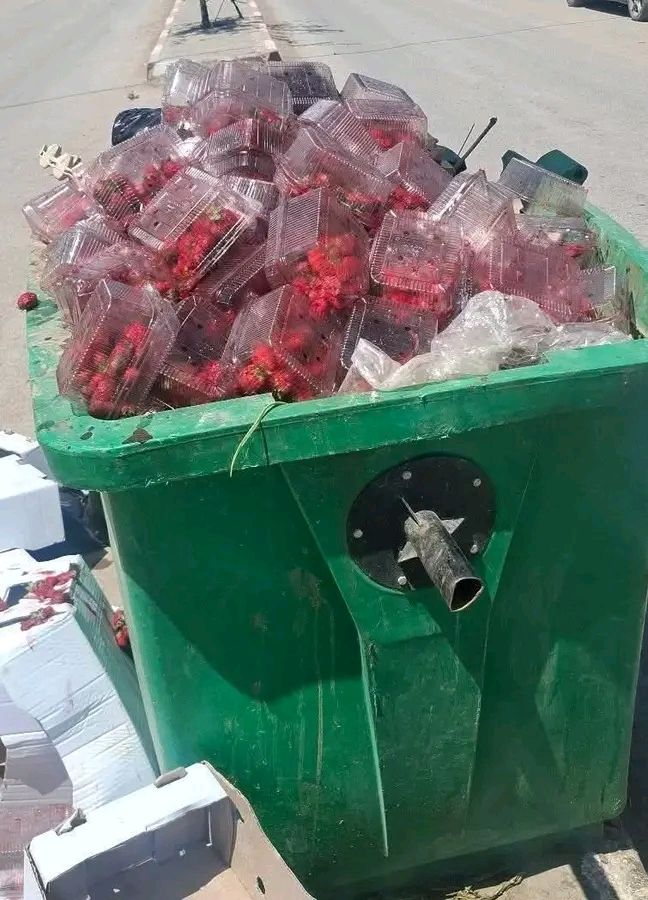 Aucune description de photo disponible.