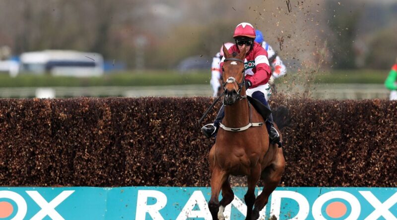 Hippisme : Un cheval blessé euthanasié après la course.