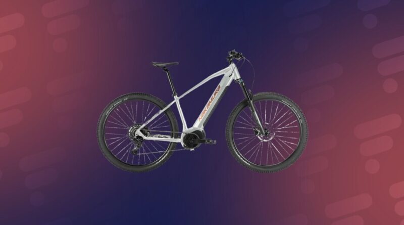 Intersport ne fait pas de bénéfice sur le Nakamura E-Summit 940 LTD, VTT électrique polyvalent, avec 600 € de perte.