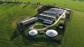 L214 dénonce une maternité porcine en Bretagne pour mutilations illégales.