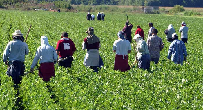 La face cachée des projets migratoires européens au Maroc