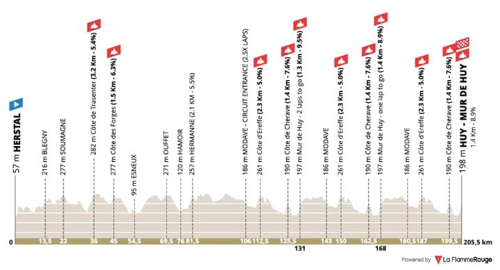 Le profil de la Flèche Wallonne