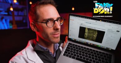 La méthode du professeur Faky pour retrouver une photo par image inversée