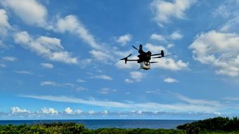 La stérilisation peut-elle éliminer le moustique tigre d'ici 2030 ?