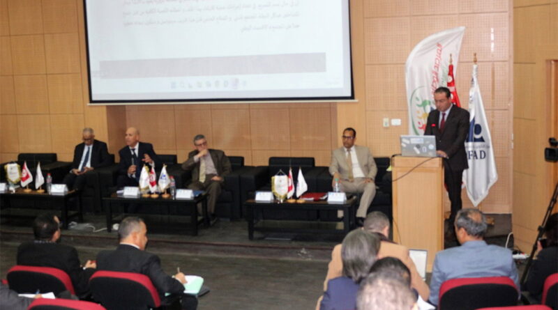 La Tunisie ne néglige pas les bailleurs internationaux pour 2024-2034.