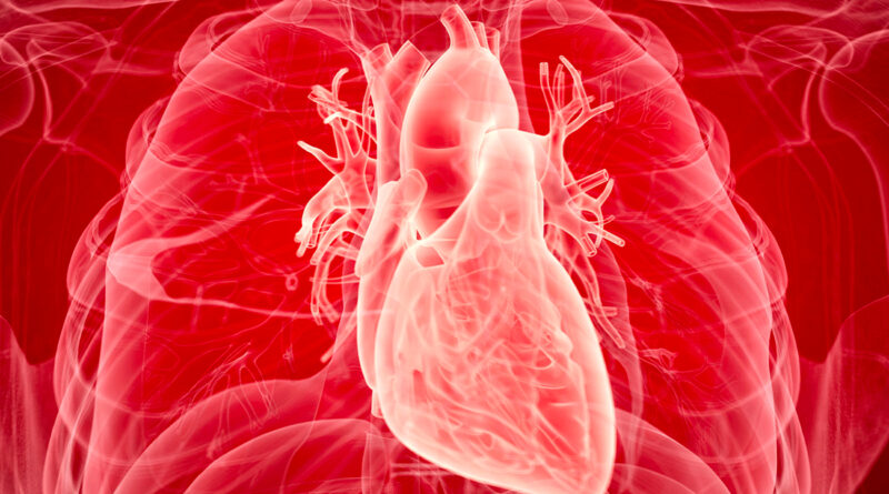 Lancement d’un registre national sur amylose cardiaque et maladies cardiovasculaires