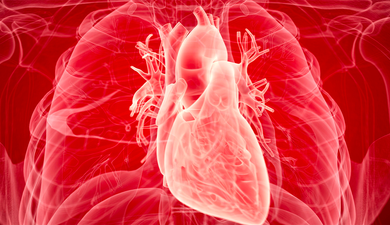 Lancement d’un registre national sur amylose cardiaque et maladies cardiovasculaires