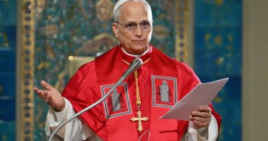 Le pape déplore l'interprétation de ses discours en Afrique avec Trump.