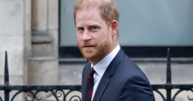 Le prince Harry poursuivi en justice par une ONG africaine.