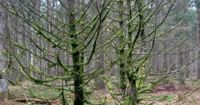 Les 20 marches Adeps du dimanche 5 avril 2024 en Wallonie