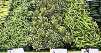 Les prix des légumes s'envolent : tomate à 220 DA, ail à 1200 DA.