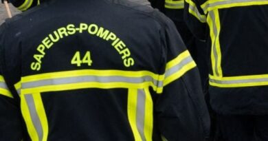 Loire-Atlantique : Sauvetage en cours pour un cachalot de 12 mètres échoué