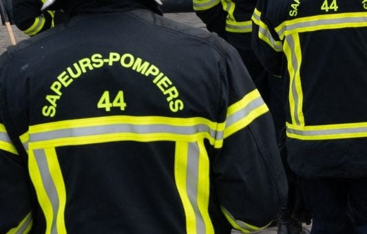 Loire-Atlantique : Sauvetage en cours pour un cachalot de 12 mètres échoué