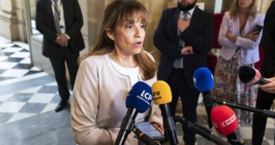 Lutte contre l'antisémitisme : le texte de Caroline Yadan suscite la polémique.