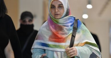 Mahdieh Esfandiari, condamnée pour apologie du terrorisme, est rentrée en Iran.