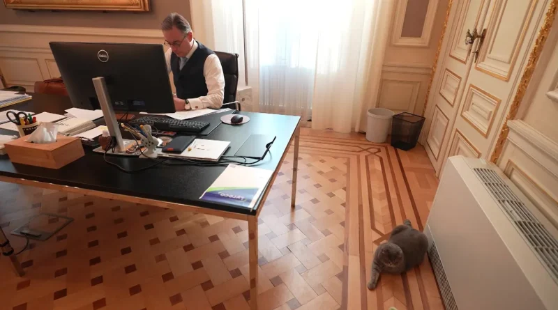 Maximus Ier, souverain du 16 rue de la Loi.