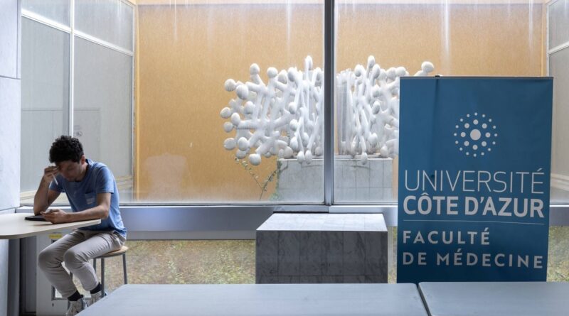 Médecine, pharmacie, kiné : nouvelle organisation pour la première année des études de santé