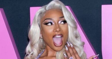 Megan Thee Stallion rassure ses fans après son hospitalisation d'urgence.