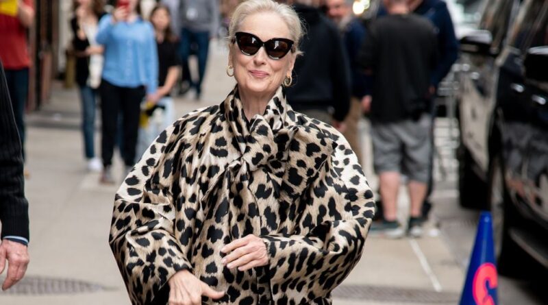 Meryl Streep révèle ses inspirations inattendues pour Miranda Priestly.