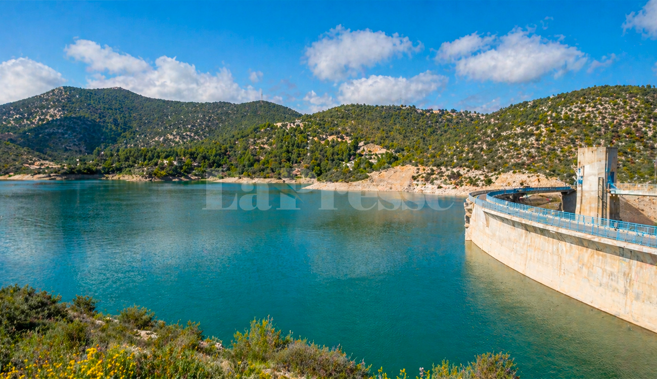 Nabeul : barrages à 100 % et aucune coupure d'eau cet été