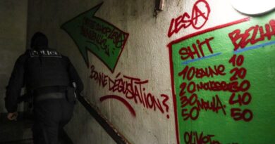 Narcotrafic à Marseille : Une PME du cannabis ne générait pas moins de 16,5 millions d'euros par an