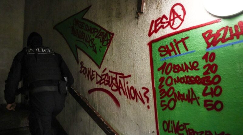 Narcotrafic à Marseille : Une PME du cannabis ne générait pas moins de 16,5 millions d'euros par an