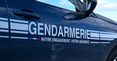 Oise : Un enfant de 10 ans entre la vie et la mort après une attaque de chien