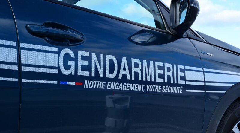 Oise : Un enfant de 10 ans entre la vie et la mort après une attaque de chien