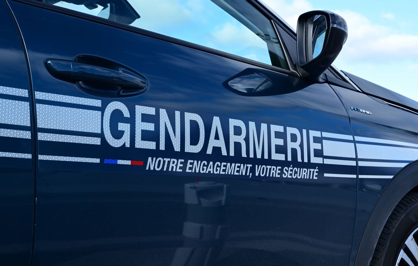 Oise : Un enfant de 10 ans entre la vie et la mort après une attaque de chien