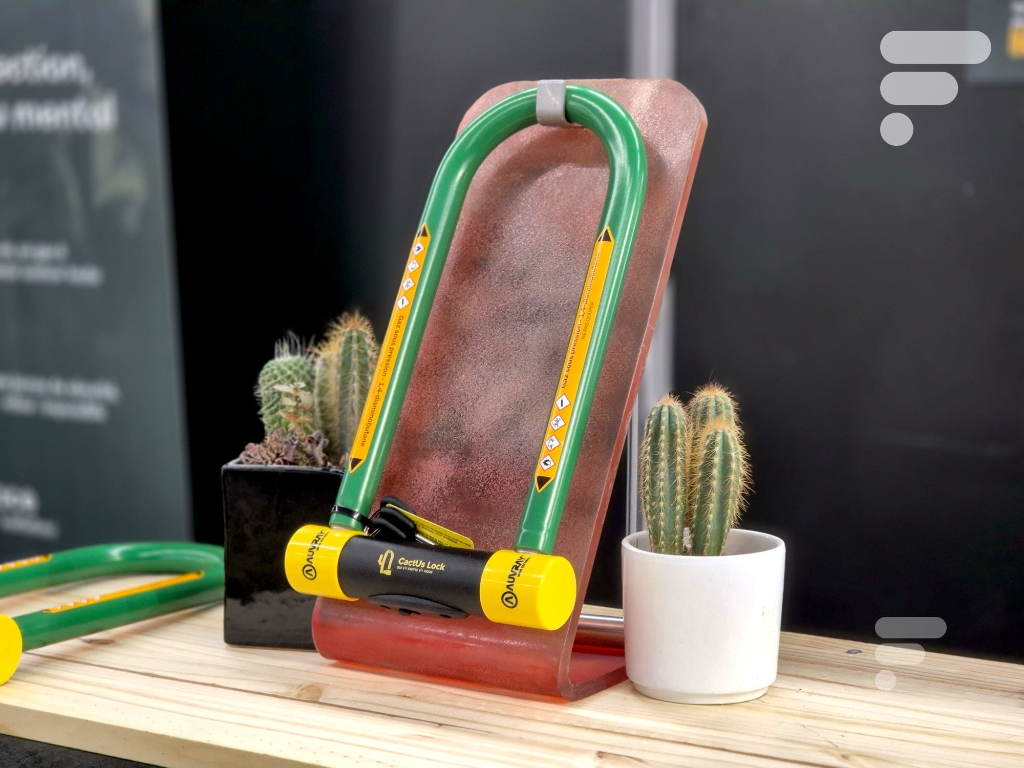 cactus lock vélo in paris 2