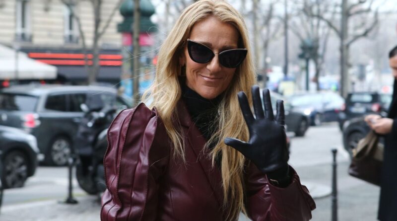 Pas de billet pour le concert de Céline Dion ? Découvrez d'autres artistes abordables.