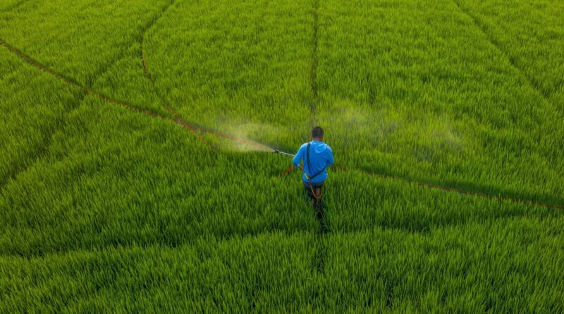 Pesticides : Perquisitions en Charente-Maritime sur les cancers pédiatriques