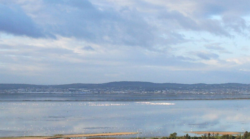 Pesticides sur la sebkha de Sijoumi : prudence recommandée aux apiculteurs