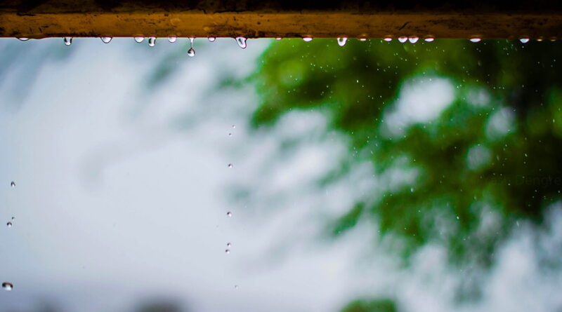 Pluies en Tunisie : 82 mm en 24 heures.