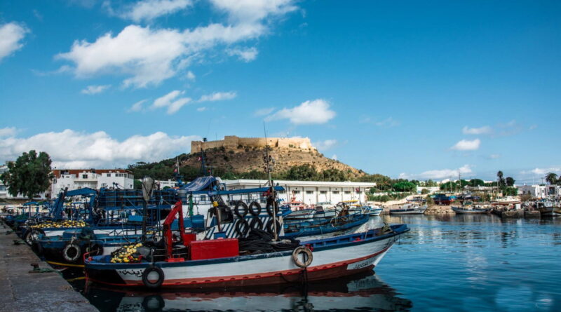 Port de Kélibia : les pêcheurs estiment la situation critique