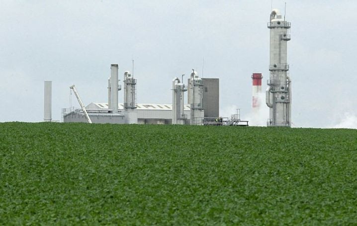 La culture de betteraves pour fabriquer du biocarburant, comme ici à Pomacle-Bazancourt, est parfois critiquée pour son impact sur la biodiversité. de FRANCOIS NASCIMBENI/AFP)