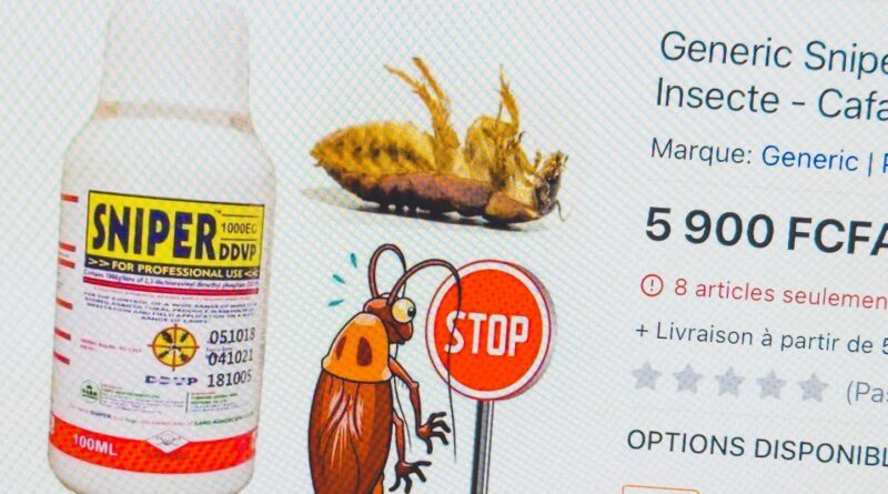 Punaises de lit : un insecticide interdit depuis 2013 continue de tuer.
