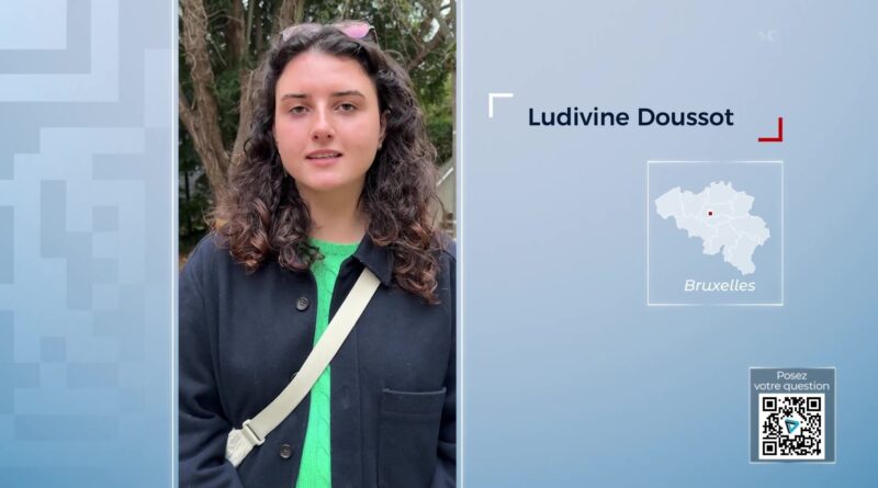 QRÂ : Les véhicules polluants continuent-ils de circuler en WallonieÂ ?