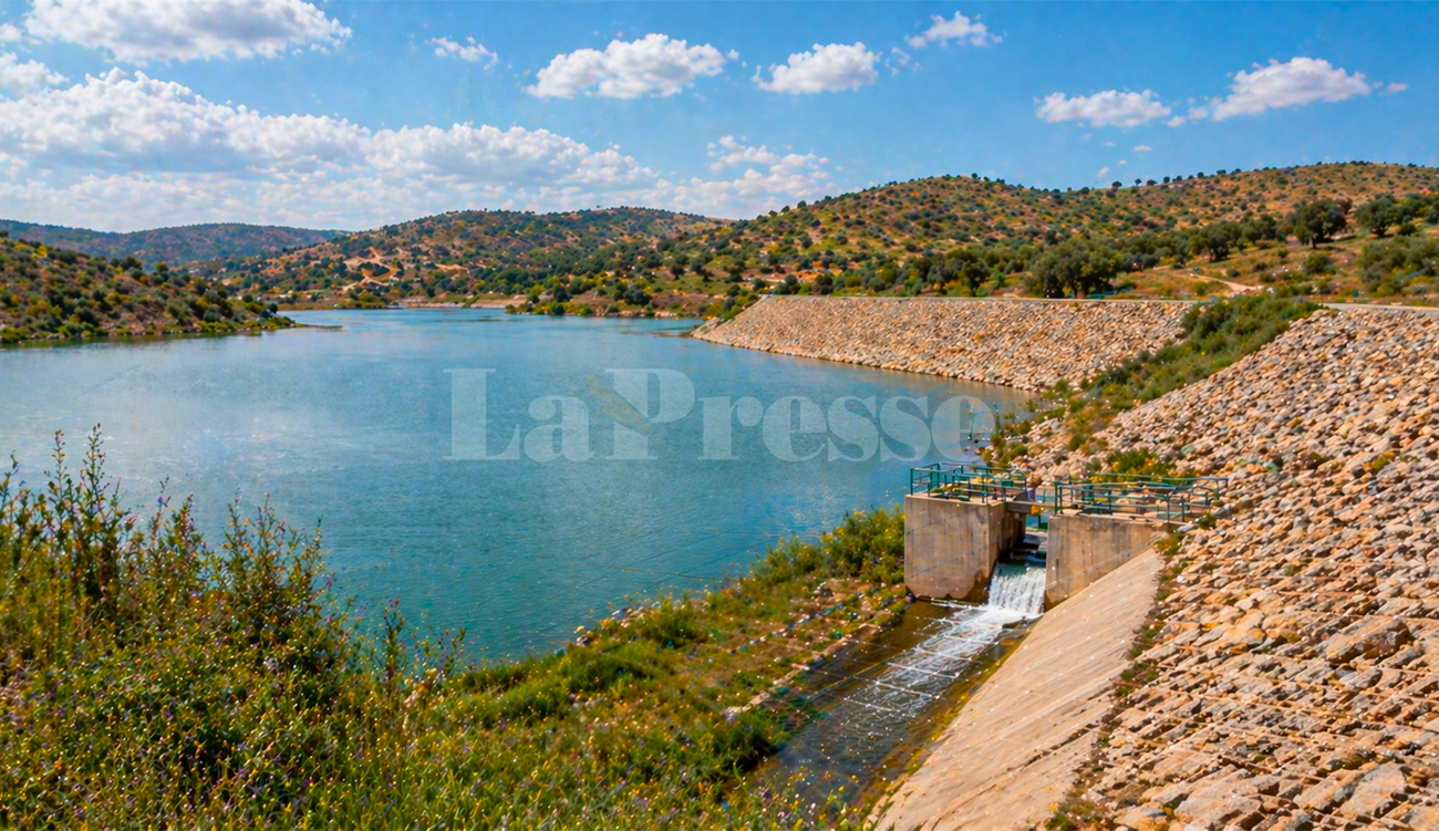 Ressources en eau : entretien de 100 lacs collinaires en Tunisie