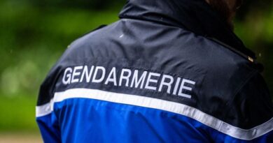 Rhône : Retrouvailles d'un enfant de 2 ans disparu lors d'une fête