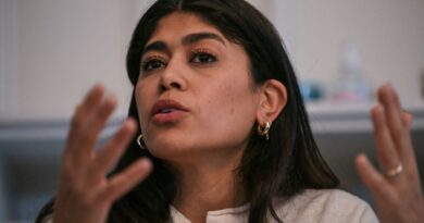 Rima Hassan : Quelles conditions pour lever son immunité parlementaire ?