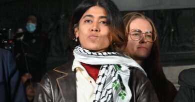 Rima Hassan : « Quelques grammes de drogue » de synthèse dans le sac de l'eurodéputée en garde à vue