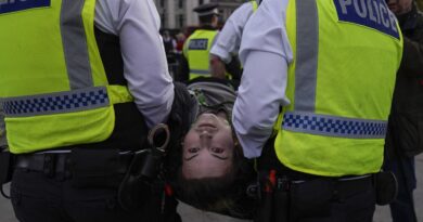 Royaume-Uni : Plus de 500 arrestations durant une manifestation pour Palestine Action.