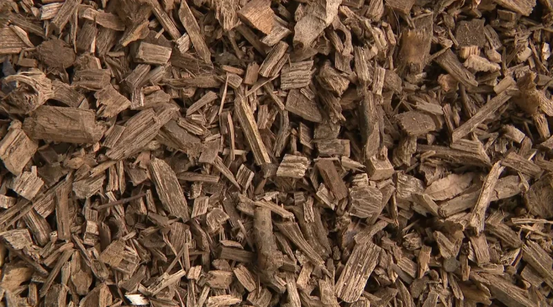 Se chauffer avec des déchets verts : possible, mais pas pour chacun.