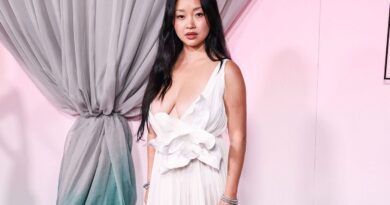 « Ses seins tombent par terre » : explications sur le bad buzz de Lana Condor.