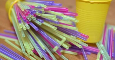 Singapour : Un étudiant français poursuivi pour avoir léché une paille s'en va