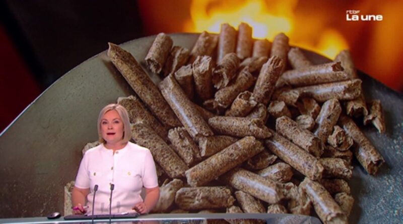 Stockage de pellets : danger méconnu d’intoxication au monoxyde de carbone