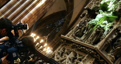 Strasbourg : Les défenseurs du rayon vert veulent le retour à la cathédrale