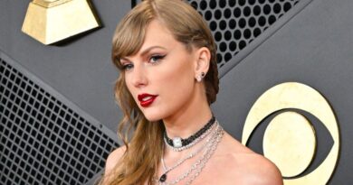 Taylor Swift ne change pas de style pour le clip d'« Elizabeth Taylor »