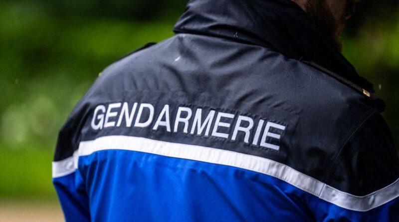 Toulouse : Un homme gravement blessé par une gendarme en intervention